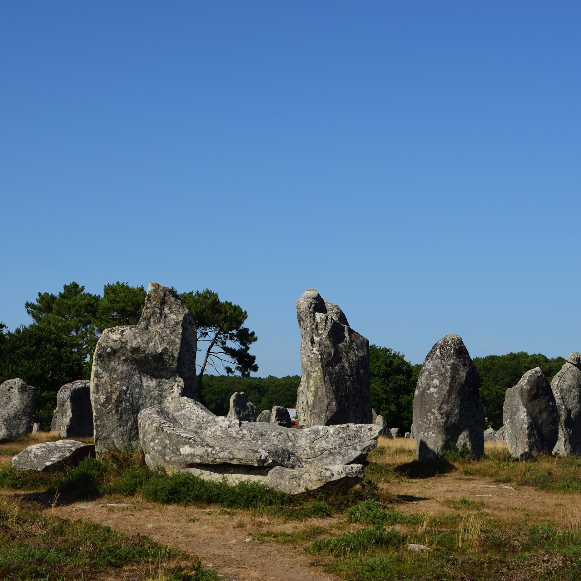 Carnac Bissig Reisen Carreisen Städtereisen, Busreisen, Carausflüge